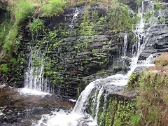 IMG_0292 IMG_0292