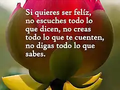 pensamientos-frases-imagenes-para-reflexionar-meditar-27