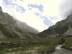 R0013049 R0013049