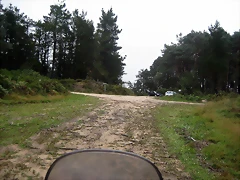 IMG_0216 IMG_0216