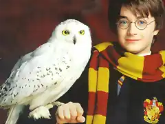 Harry-Potter-Hedwig