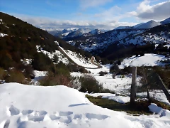 DSCN9665 DSCN9665