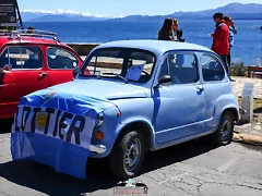 CAS_3975 CAS_3975