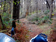 DSCN8986 DSCN8986