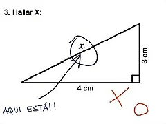 examen