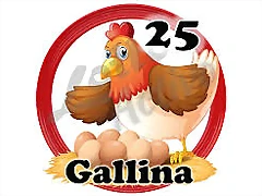 gallina