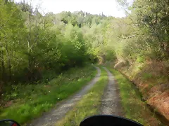 DSCN2104 DSCN2104