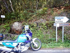 DSCN6974 DSCN6974