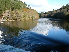DSCN6382 DSCN6382