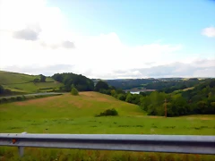 DSCN5261 DSCN5261