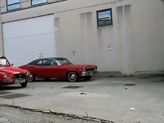 Nova Nova