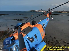 sea king 119