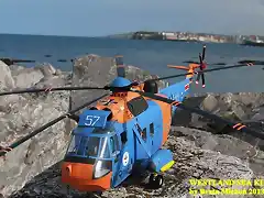 sea king 111-crop