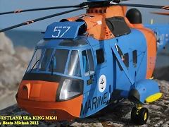 sea king 110