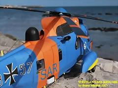 sea king 113