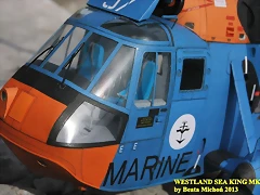 sea king 124