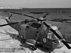 sea king 114