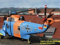 sea king 108