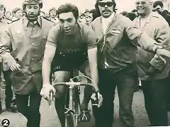 MERCKX -MIR