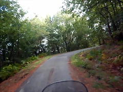 DSCN1196 DSCN1196
