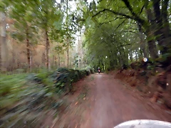 DSCN7264 DSCN7264