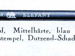 elefant