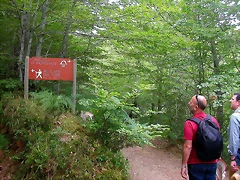 DSCN3824 DSCN3824