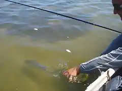 Pesca de lisas en Juan y Juan