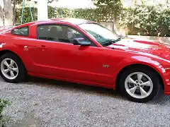 Mustang red JCV 02 web