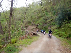 DSCN0571 DSCN0571