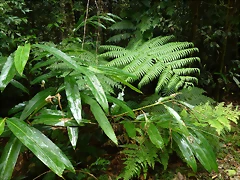 P1090851 P1090851