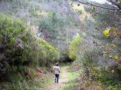 DSCN0630 DSCN0630