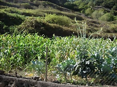 DSCN7322 DSCN7322