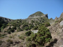 DSCN7278