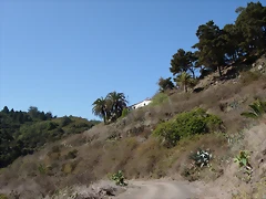DSCN7340 DSCN7340