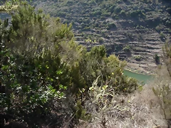 DSCN7332 DSCN7332
