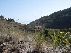 DSCN7342 DSCN7342