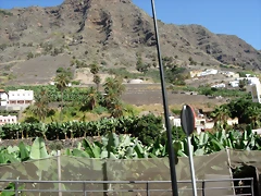 DSCN7288