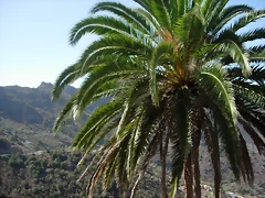 DSCN7356 DSCN7356