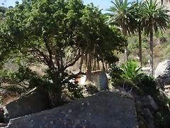 DSCN7386 DSCN7386