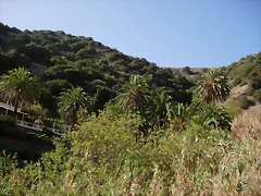 DSCN7279