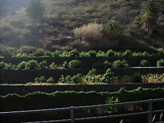DSCN7287