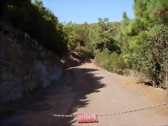 DSCN7346 DSCN7346
