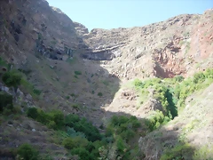 DSCN7309 DSCN7309