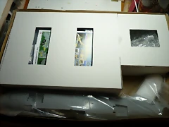 P1090893 P1090893