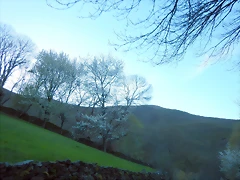 DSCN9119 DSCN9119