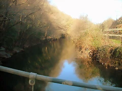DSCN5772 DSCN5772