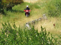 IMG_7744 IMG_7744