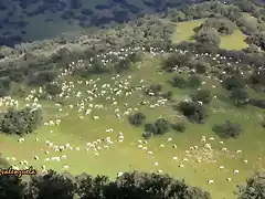 21, desde el cortijo mocho, marca