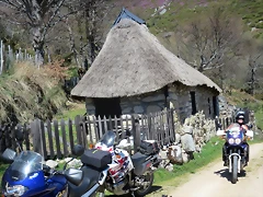 IMG_6816 IMG_6816